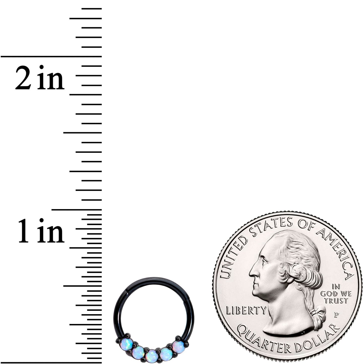 16G 3/8 Synthetic Opal Black Hinged Segment Ring