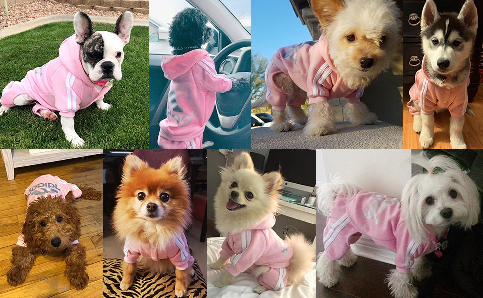 Pet Dog Jumpsuit for Small Medium Dogs - Jaico Online Shop