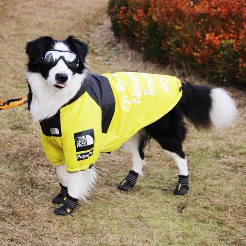 The Dog Face Windproof Waterproof Reflective Pet Cat Dog Jacket - Jaico Online Shop