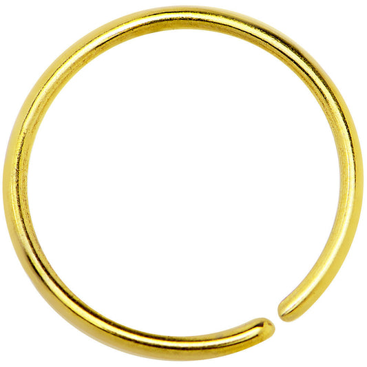20G 3/8 Gold IP Annealed Steel Seamless Circular Ring