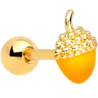 16G 1/4 Gold Tone Orange Acorn Cartilage Tragus