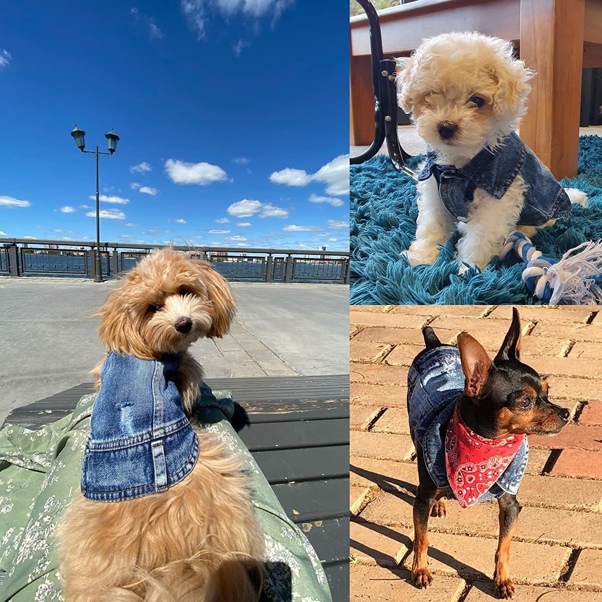 Pet Dog Cat Blue Denim Jeans Jacket Coat Vest - Jaico Online Shop