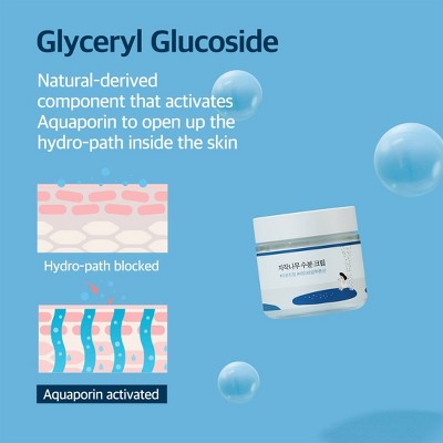 Round Lab Birch Juice Moisturizing Cream Korean Skincare for Long-Lasting Hydration and Skin Barrier Repair 80ml - Missing Box