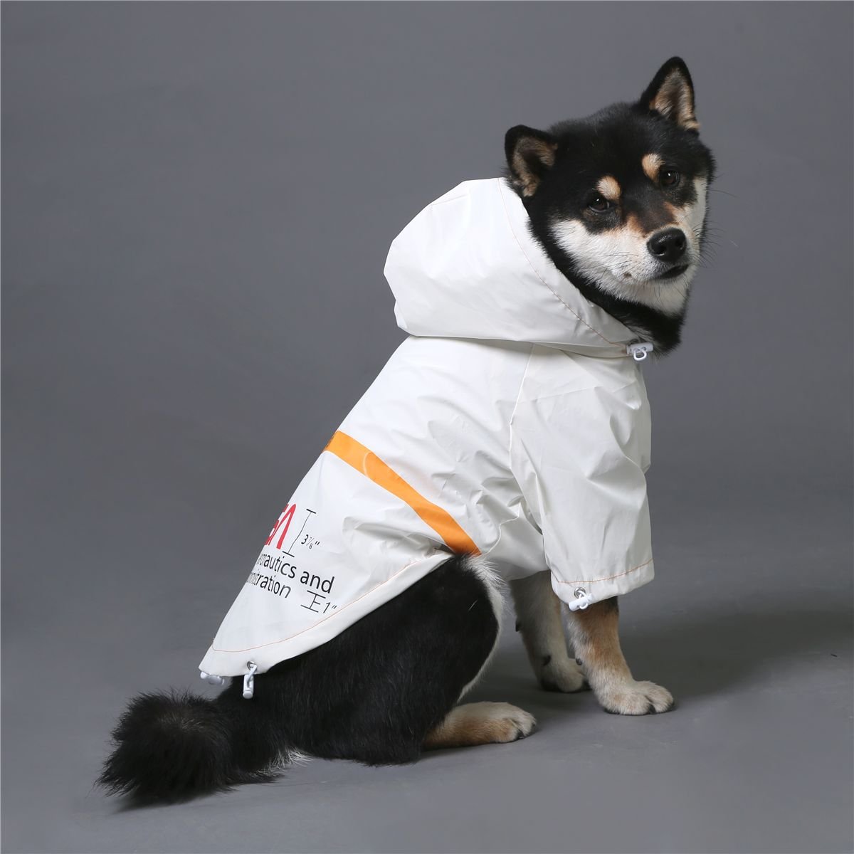 The Dog Face Windproof Waterproof Reflective Pet Cat Dog Jacket - Jaico Online Shop