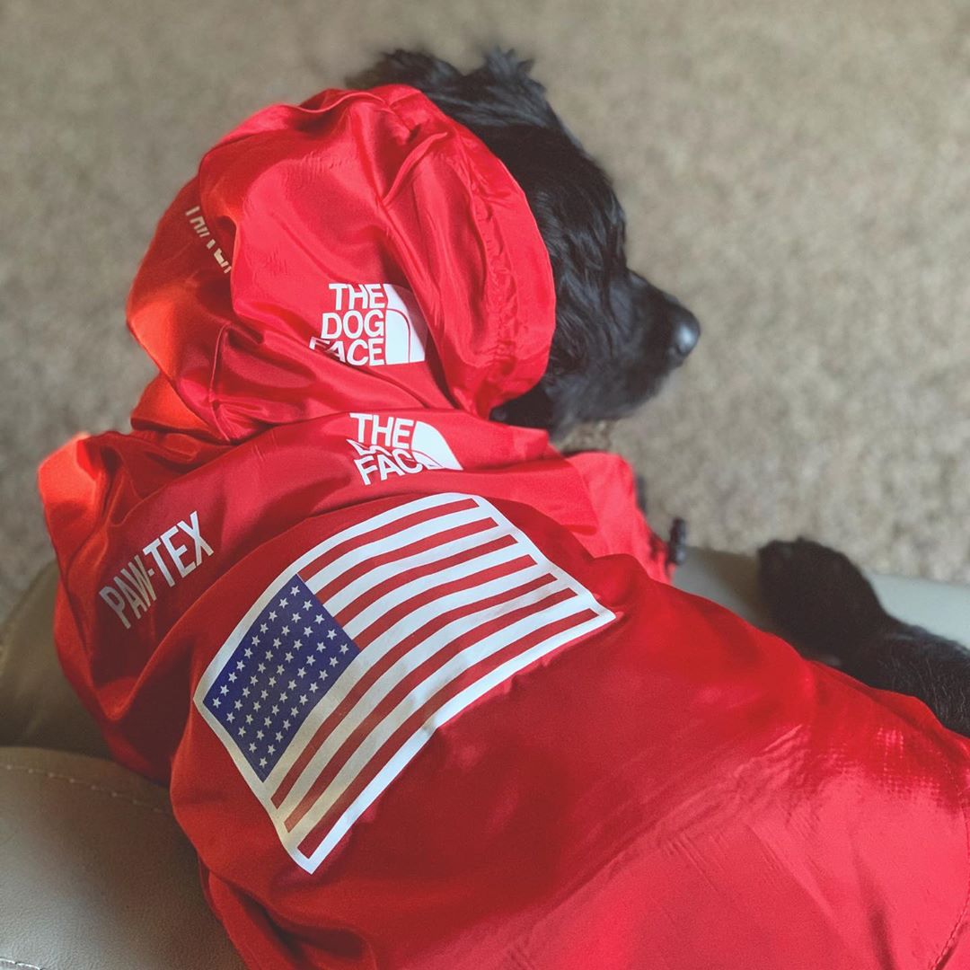 The Dog Face Windproof Waterproof Reflective Pet Cat Dog Jacket - Jaico Online Shop