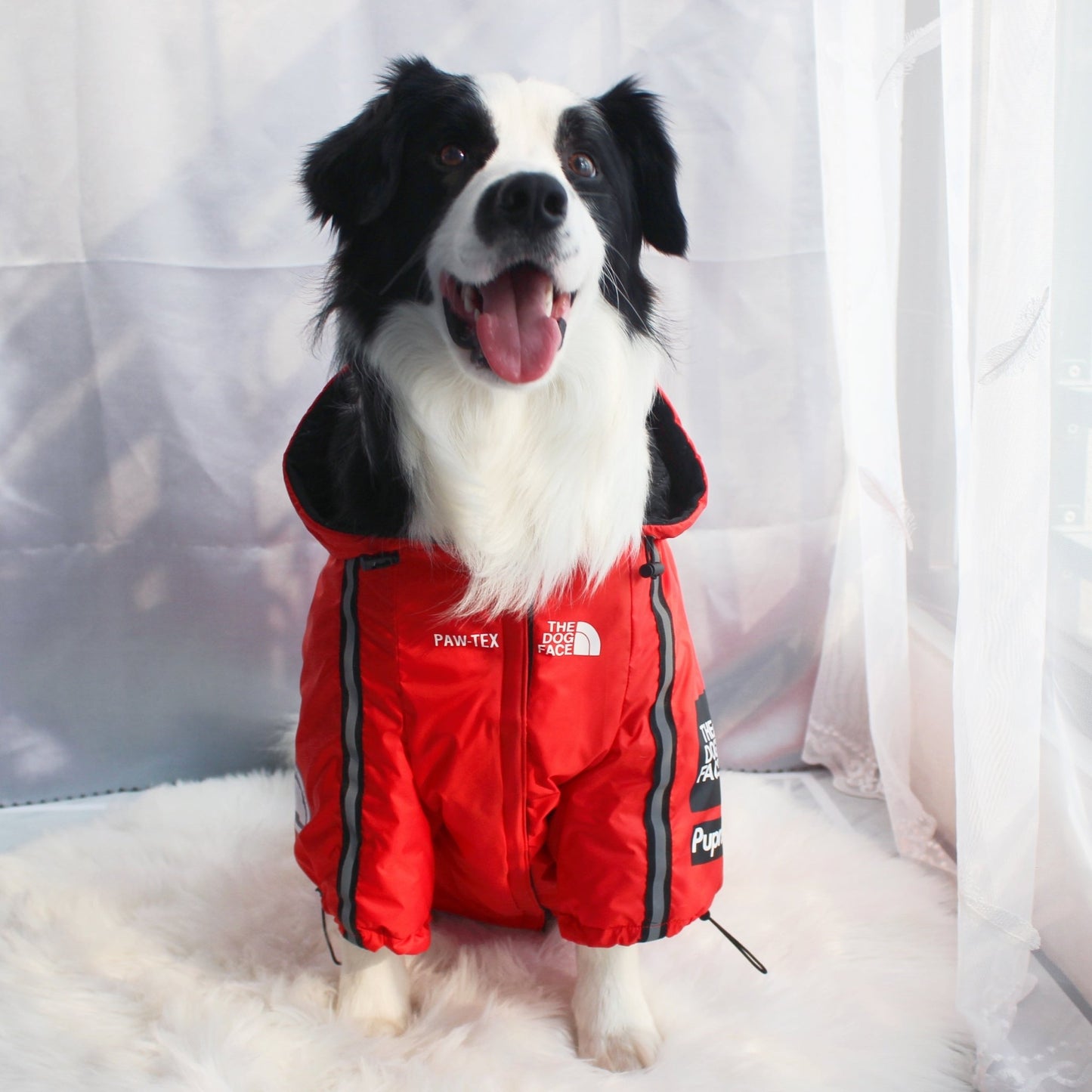 The Dog Face Windproof Waterproof Reflective Pet Cat Dog Jacket - Jaico Online Shop