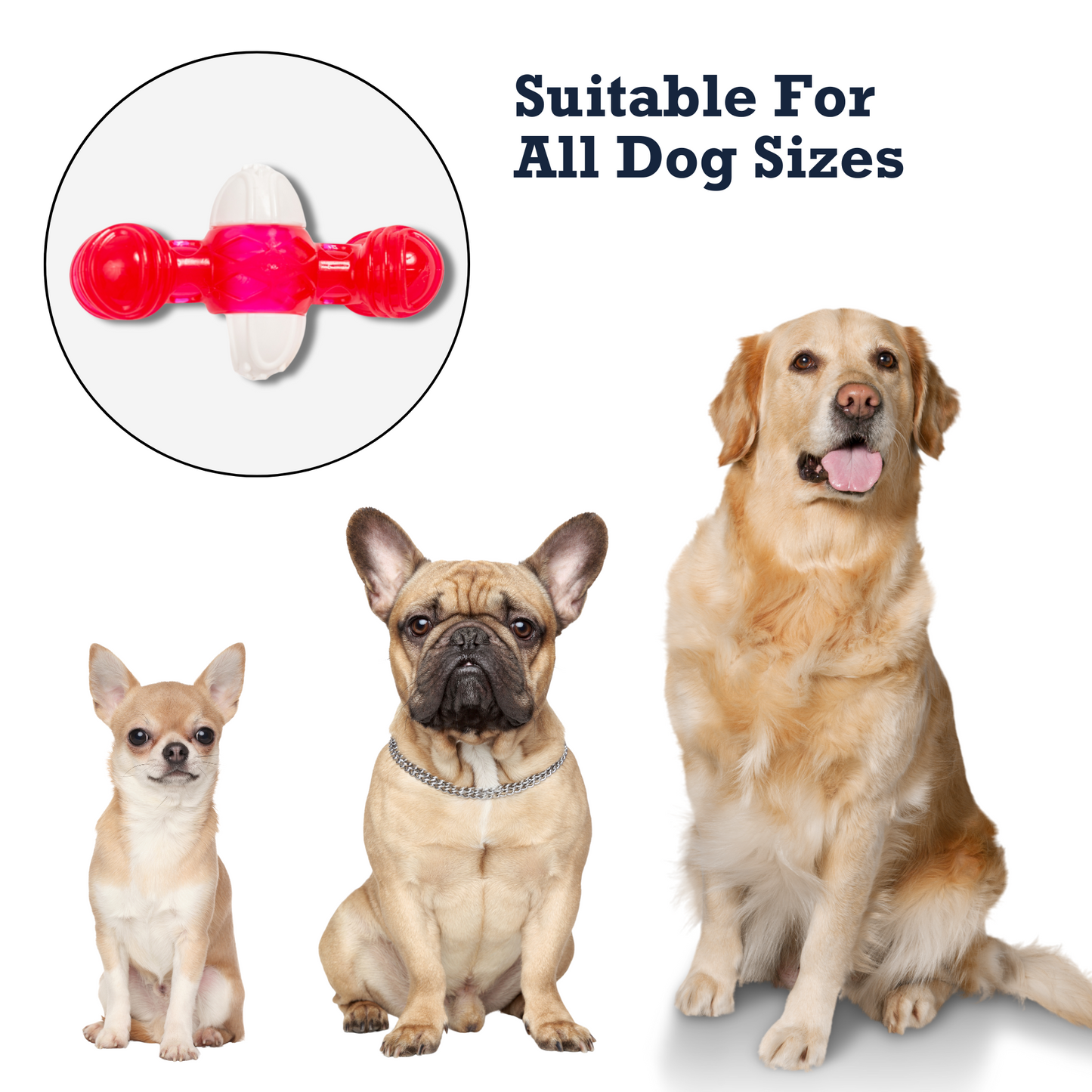 Country Living TPR & Nylon Quacker Bone Chew Toy for Dogs – with Engaging Quacking Sound