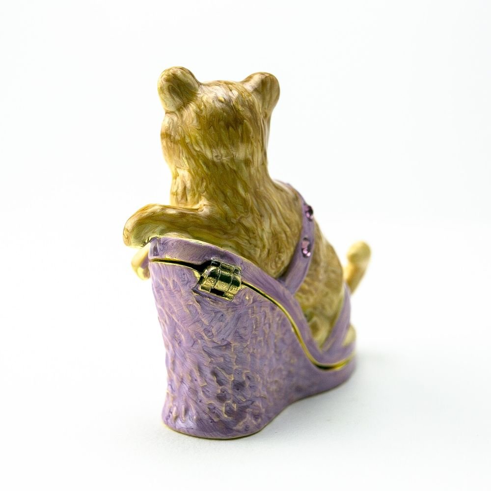Cat sitting on an Evening Shoe - Jaico Online Shop