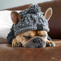 Autumn Winter Warm Knitted Pet Hats With Fluffy Ball